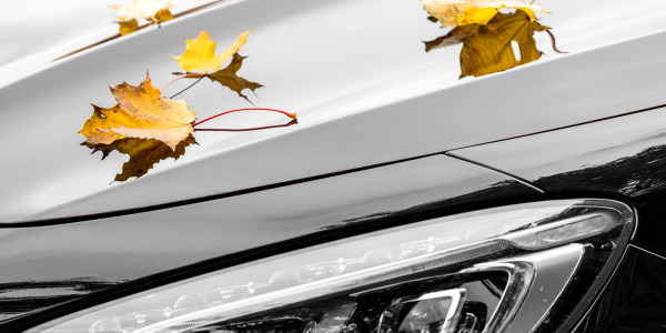 Renting Flotas Volkswagen, Cupra, Seat en Hospitalet de Llobregat · Alquiler Flotas Ford